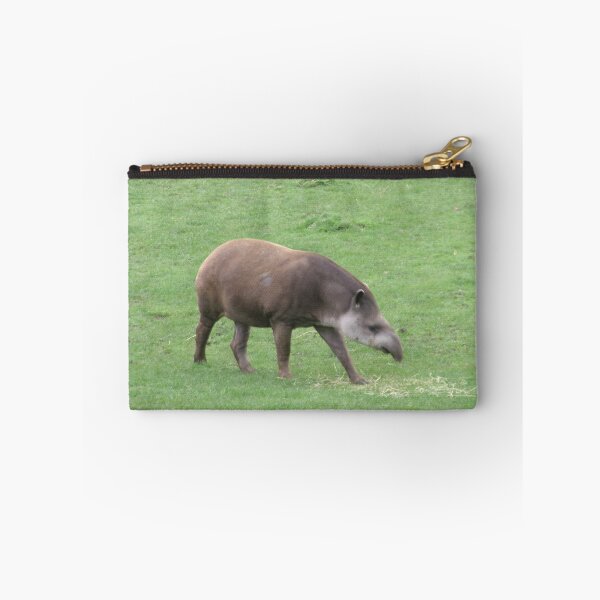 Item preview, Tapir designed and sold by GooglyEyes-.