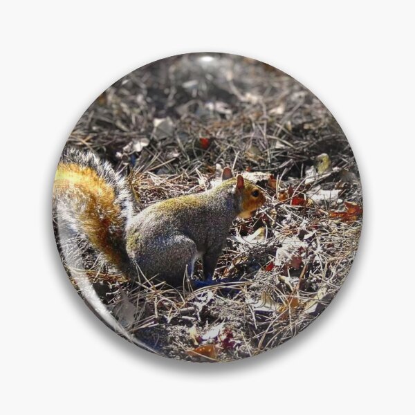 Item preview, Squirrel in Leafy Ground designed and sold by Stacey's unpromised.
