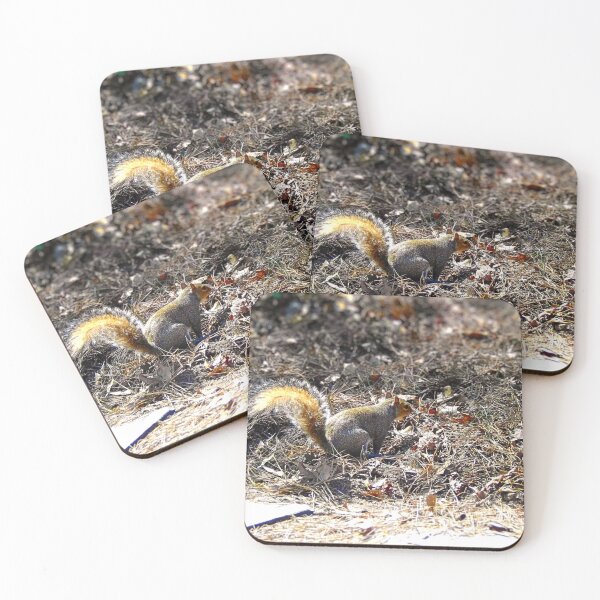 Item preview, Squirrel in Leafy Ground designed and sold by Stacey's unpromised.