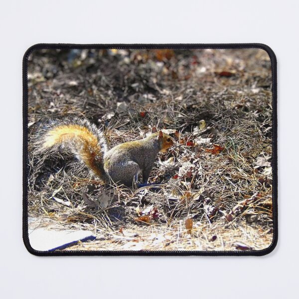 Item preview, Squirrel in Leafy Ground designed and sold by Stacey's unpromised.