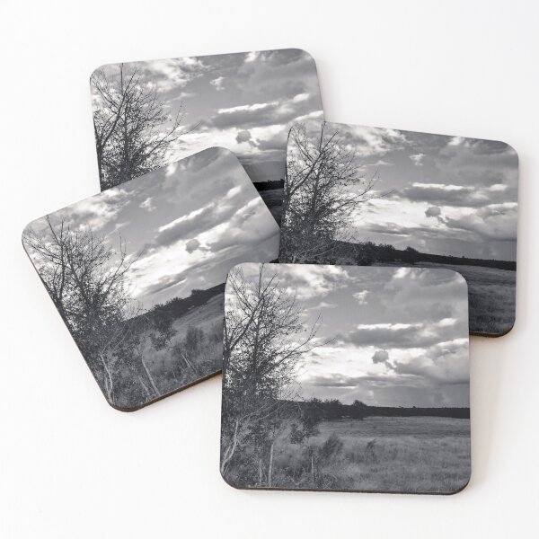 Item preview, Barren Tree Under Cloudy Sky designed and sold by Stacey's unpromised.