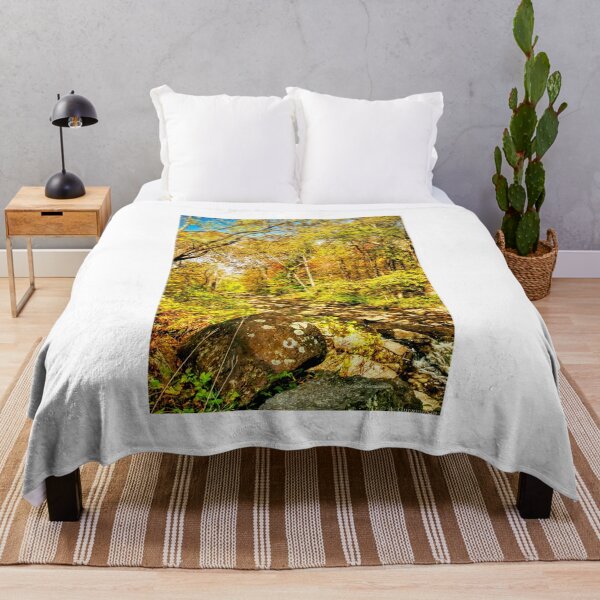 Item preview, Stream in Autumn, Montgomery County, Pennsylvania, Pennsylvania designed and sold by AMacGPhilly.