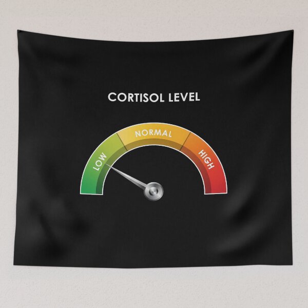 Item preview, Low Cortisol Level Gym Mood Gauge designed and sold by GymHeavy.