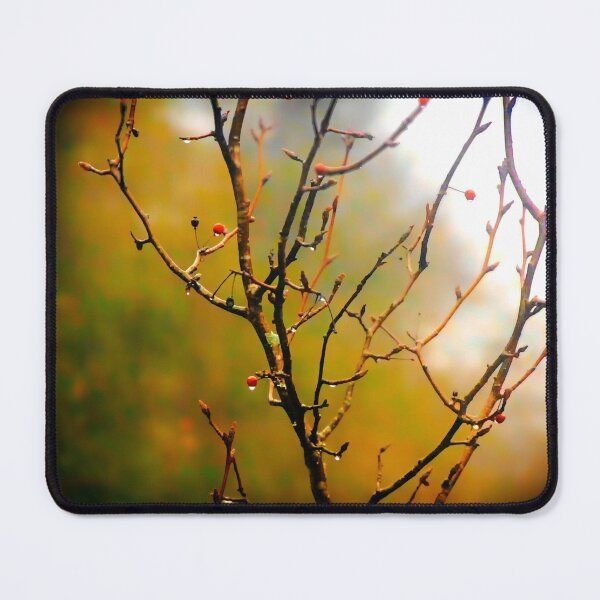 Item preview, Bare Tree Branches in Mist designed and sold by Stacey's unpromised.