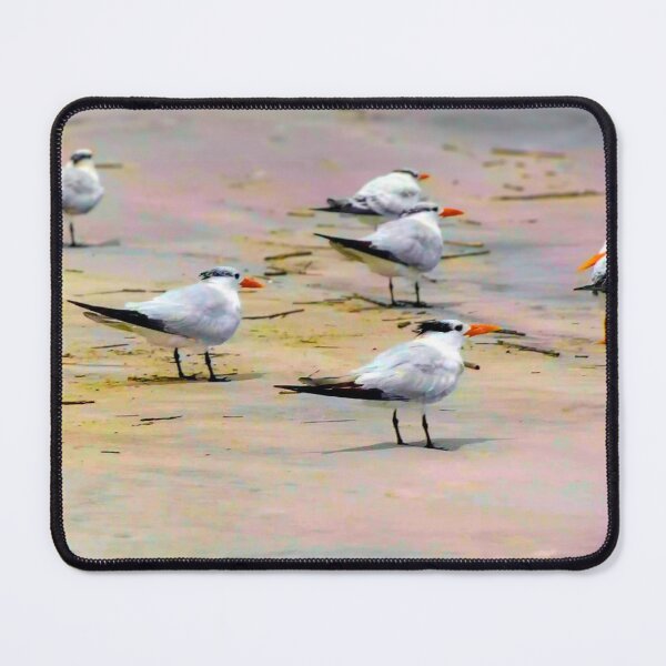 Item preview, Seabirds on Tranquil Shore designed and sold by Stacey's unpromised.