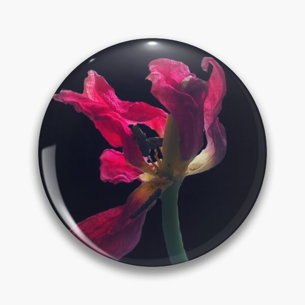Item preview, Red tulip as a spring present designed and sold by Enerjetal.