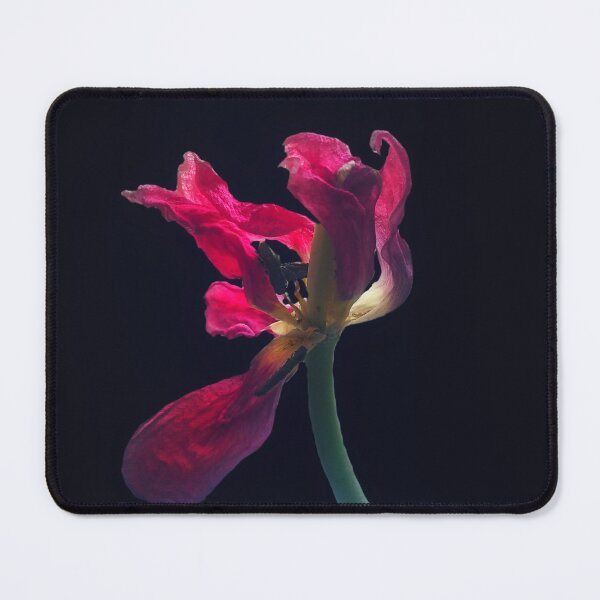Item preview, Red tulip as a spring present designed and sold by Enerjetal.