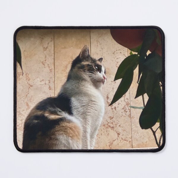 Item preview, Cat  designed and sold by Ay’s woorK.
