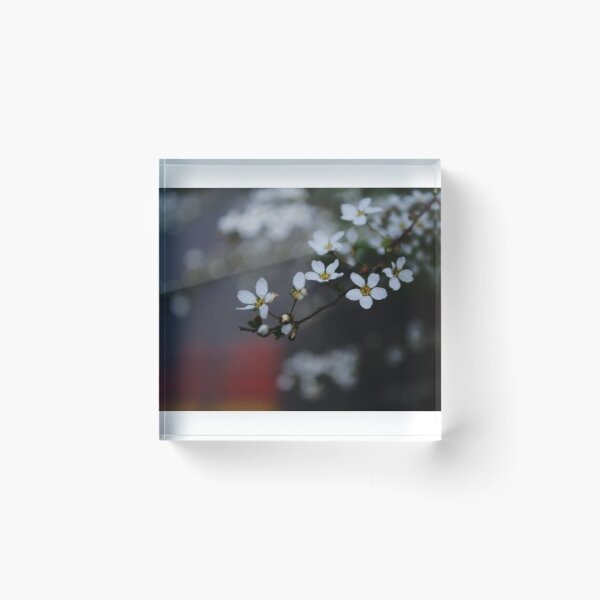 Item preview, Floral pattern designed and sold by ChiaraPagani.