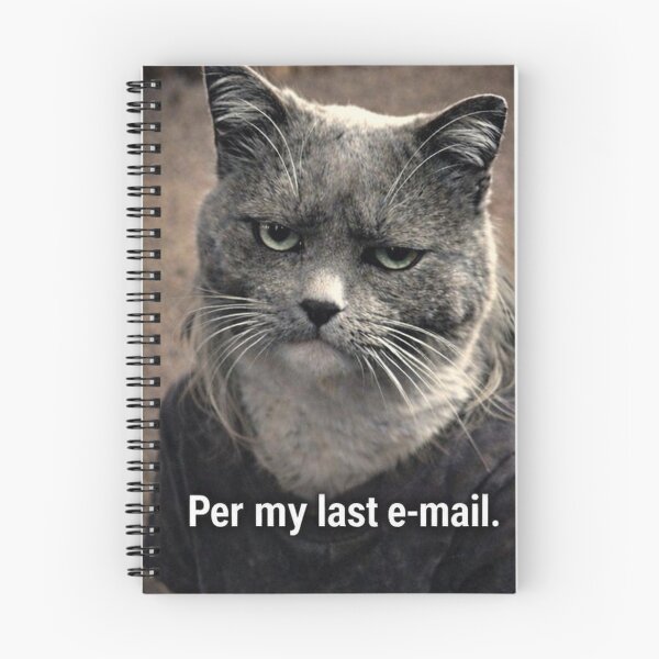 Item preview, Phoebe.exe: Interesting. (Unimpressed Cat Meme) designed and sold by The_Null_Garden.