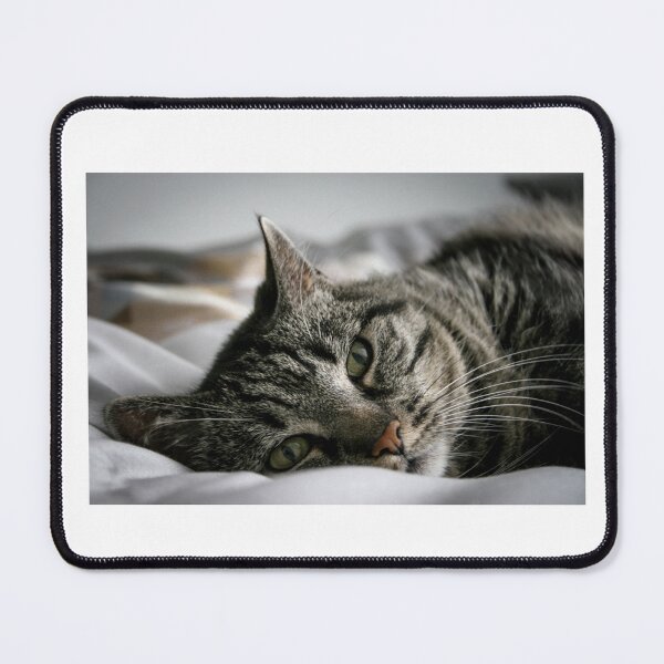 Item preview, Spirit Animal designed and sold by TheLorind.