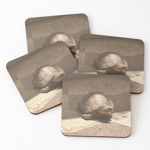 Item preview, turtle designed and sold by Ay’s woorK.