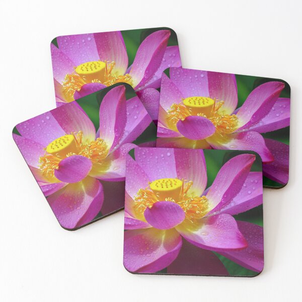 Item preview, The Pink Water Lily - Wall Art - Elegant Floral Pond designed and sold by DBM Photo Gallery 1.