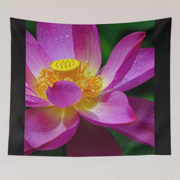 Item preview, The Pink Water Lily - Wall Art - Elegant Floral Pond designed and sold by DBM Photo Gallery 1.