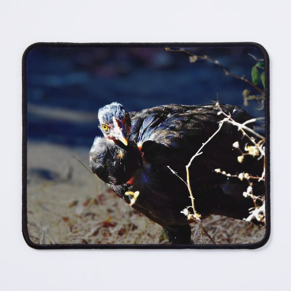 Item preview, Turken Portrait designed and sold by Stacey's unpromised.