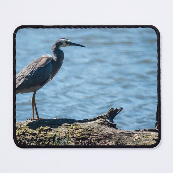 Item preview, White Faced Heron  designed and sold by D-GaP.