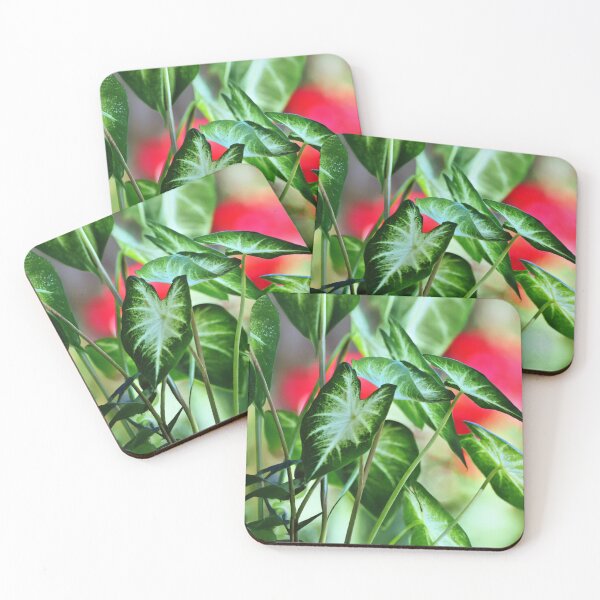 Item preview, Elephant Ear Plant - Wall Art - Bold Tropical Foliage designed and sold by DBM Photo Gallery 1.