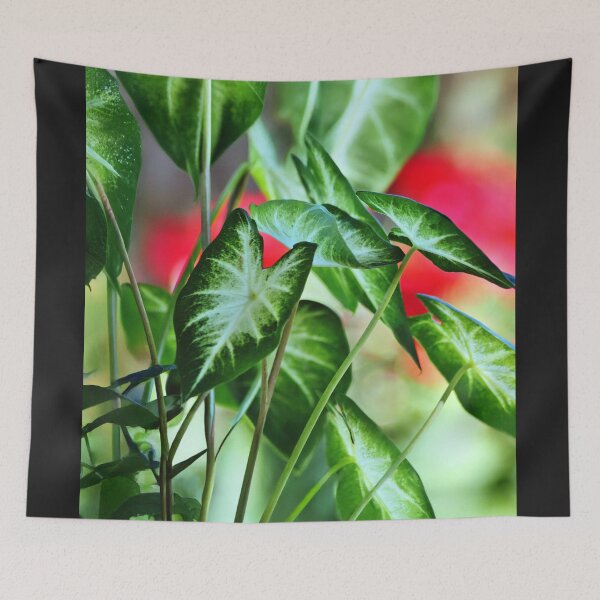 Item preview, Elephant Ear Plant - Wall Art - Bold Tropical Foliage designed and sold by DBM Photo Gallery 1.