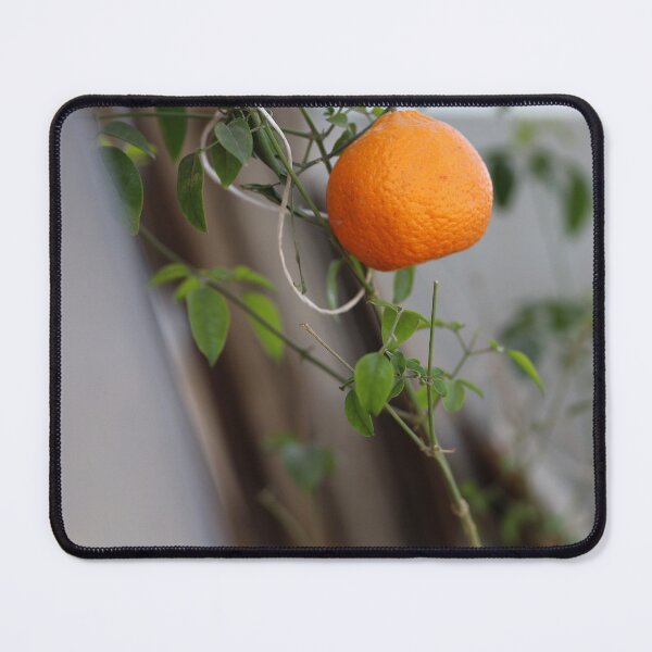 Item preview, Beautiful picture of a fresh tangerine designed and sold by nagyphotography.