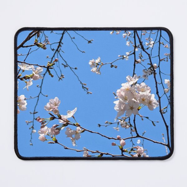Item preview, Sakura in the Sky designed and sold by Tokimaru63.