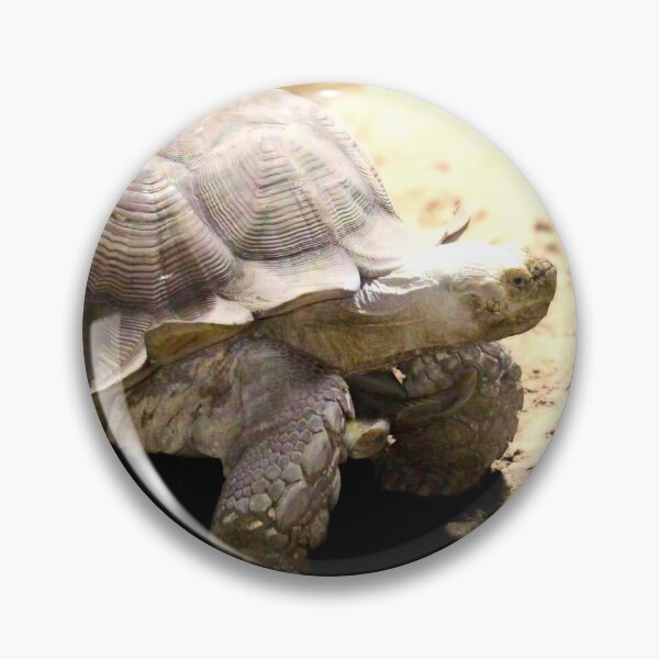 Item preview, Large Tortoise on Sandy Ground designed and sold by Stacey's unpromised.
