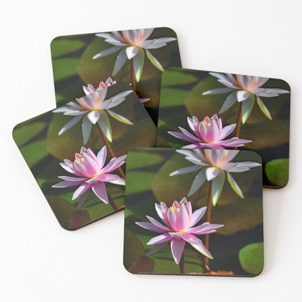Item preview, Lilies in the Pond - Wall Art - Captures the peaceful beauty designed and sold by DBM Photo Gallery 1.
