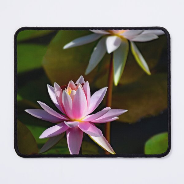 Item preview, Lilies in the Pond - Wall Art - Captures the peaceful beauty designed and sold by DBM Photo Gallery 1.