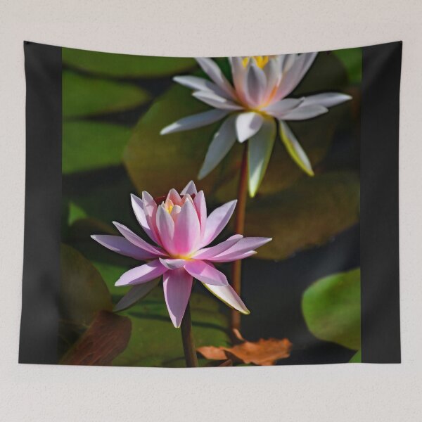 Item preview, Lilies in the Pond - Wall Art - Captures the peaceful beauty designed and sold by DBM Photo Gallery 1.
