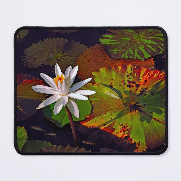Item preview, Water Lily in the Garden — Wall Art - Peaceful Floral Pond designed and sold by DBM Photo Gallery 1.