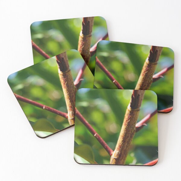 Item preview, Twig designed and sold by trinest.