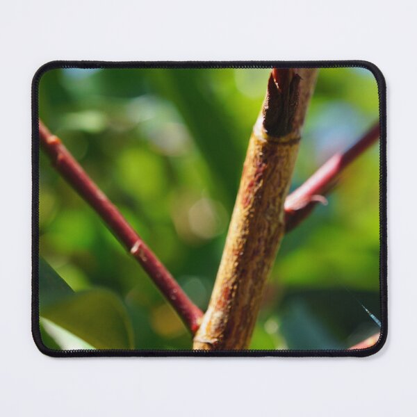 Item preview, Twig designed and sold by trinest.