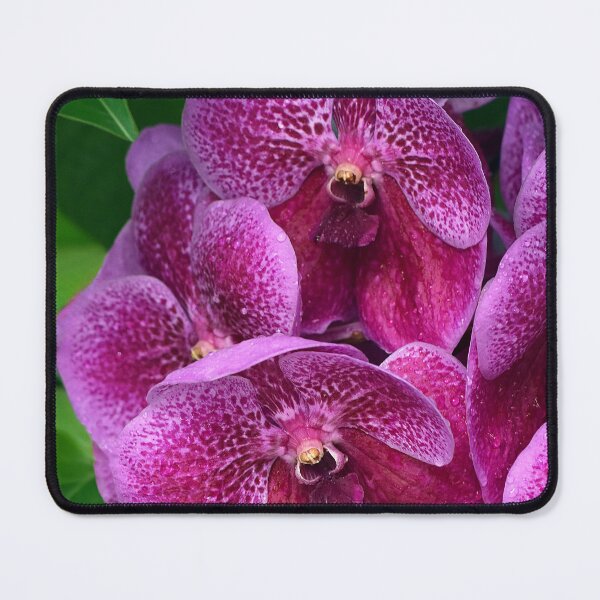 Item preview,  The Language of Flowers — Wall Art - Every Bloom Tells a Story of Life  designed and sold by DBM Photo Gallery 1.