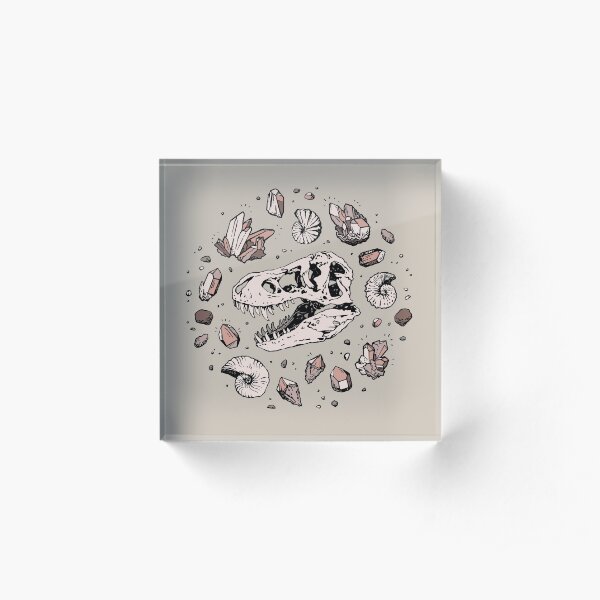 Geo-rex Vortex | Rose Quartz | Dinosaur Skull Fossil Art Acrylic Block