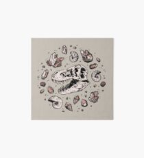 Geo-rex Vortex | Rose Quartz | Dinosaur Skull Fossil Art Art Board Print