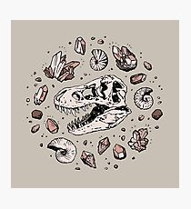 Geo-rex Vortex | Rose Quartz Photographic Print