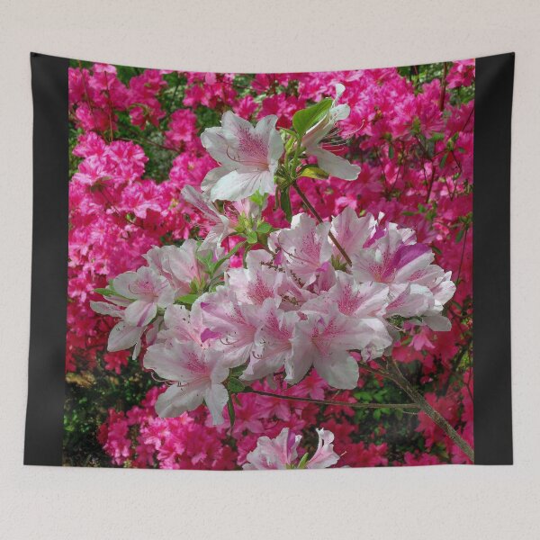 Item preview, PINK IS THE COLORS OF SPRING Wall Art designed and sold by DBM Photo Gallery 1.