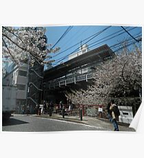 Japan Beautiful Photo Poster