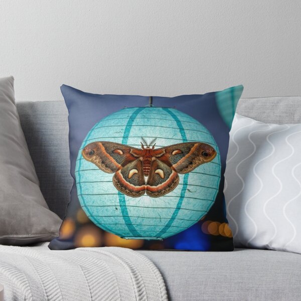 Item preview, Cecropia Moth on Paper Lantern designed and sold by Tridentulus.