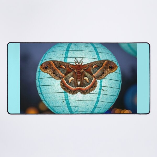 Item preview, Cecropia Moth on Paper Lantern designed and sold by Tridentulus.