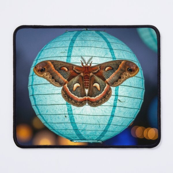 Item preview, Cecropia Moth on Paper Lantern designed and sold by Tridentulus.