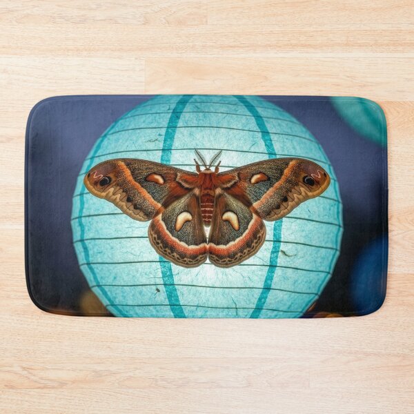 Item preview, Cecropia Moth on Paper Lantern designed and sold by Tridentulus.
