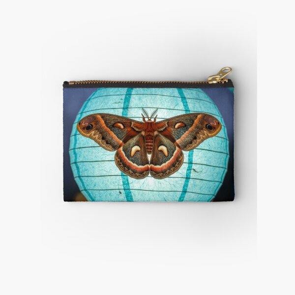 Item preview, Cecropia Moth on Paper Lantern designed and sold by Tridentulus.
