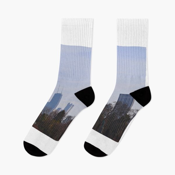 Item preview, Chicago Skyline on a Clear Day designed and sold by Phakade's Photos.