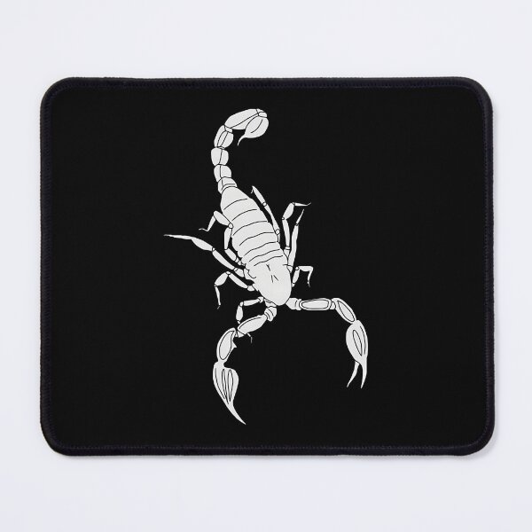 Item preview, Vintage Scorpion Entomology Anatomy Sketch designed and sold by euwqafalmgn5.