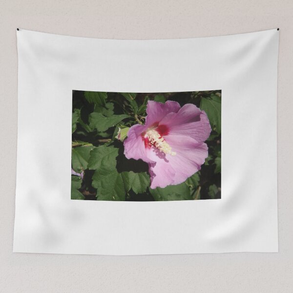 Item preview, Flower Close-Up, Denver, Colorado  designed and sold by lenspiro.