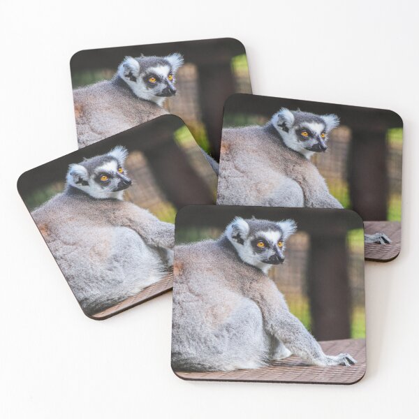 Item preview, Lemur designed and sold by S-V-Photography.