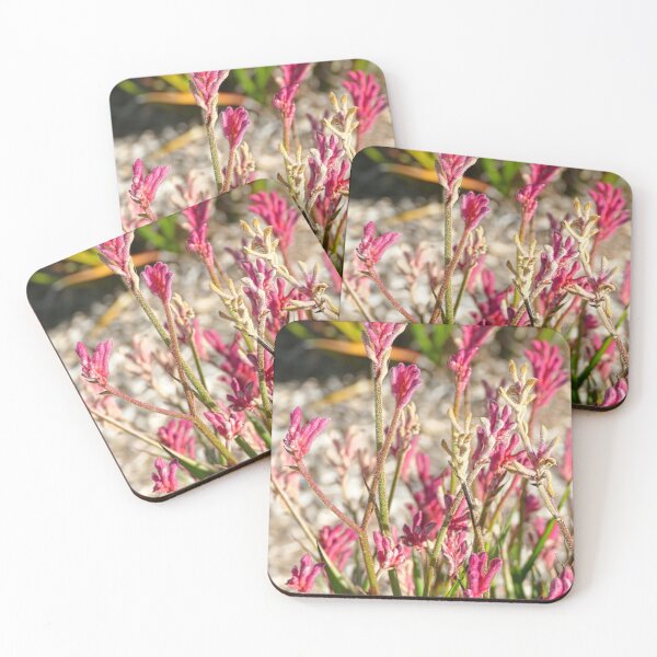 Item preview, Unique Australian Kangaroo Paw Flowers designed and sold by jaynerushton.