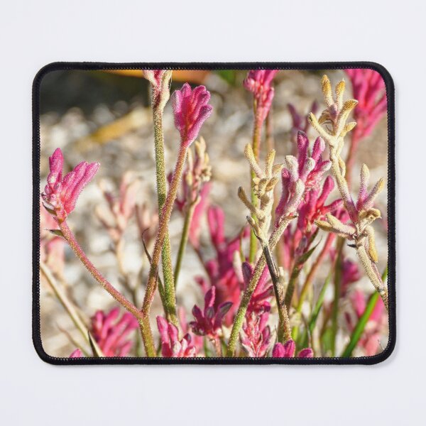 Item preview, Unique Australian Kangaroo Paw Flowers designed and sold by jaynerushton.