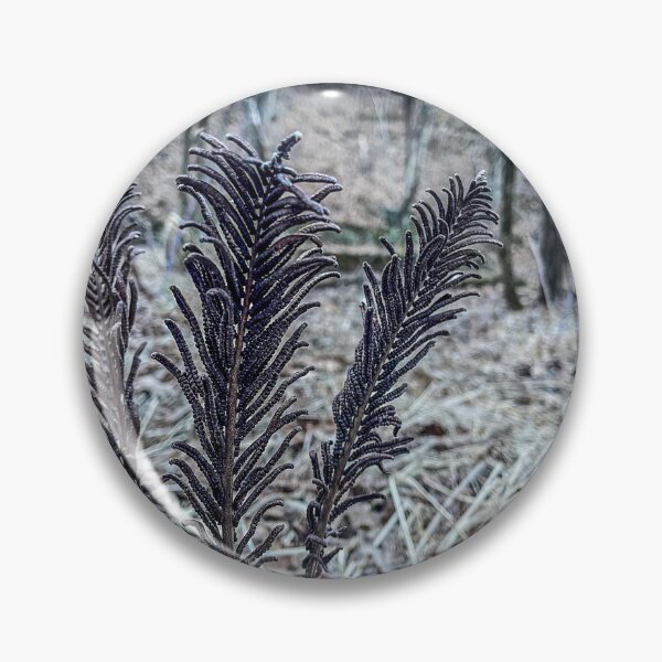 Item preview, Frosted Forest Ferns – Winter Woodland Macro Photography designed and sold by aadventures.