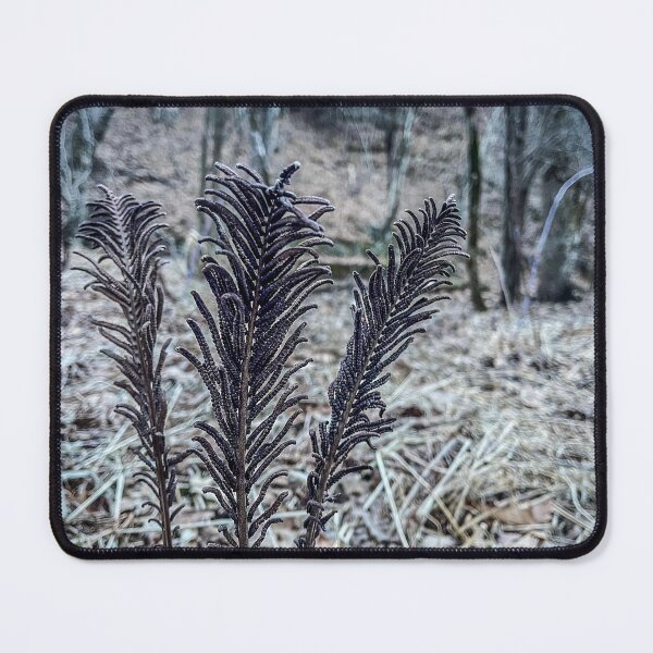 Item preview, Frosted Forest Ferns – Winter Woodland Macro Photography designed and sold by aadventures.